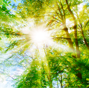 Corporate Compliance